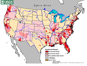 distribution map of elodea
