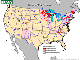 Distriubution map of rusty crayfish