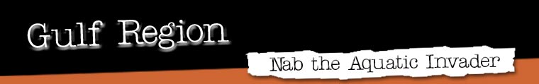 Nab the Aquatic Invaders
