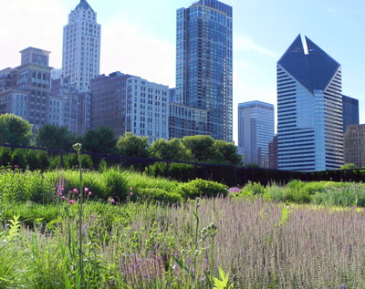 Northerly Island - garden city